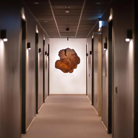 Hotel Pellestova 4*