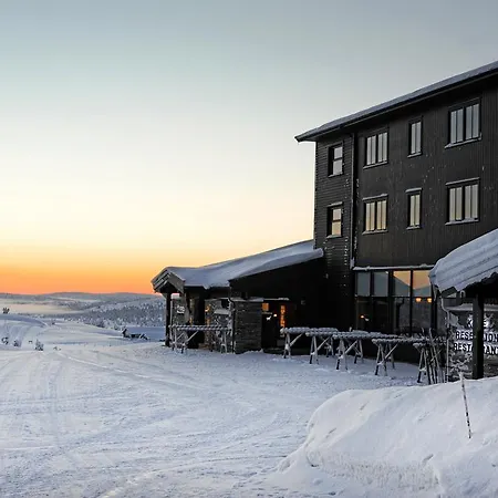 Hotel Pellestova 4*