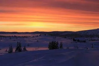 Hotell Pellestova 4*